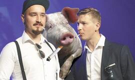 Sensacija! Žmonės kiaulių smegenimis