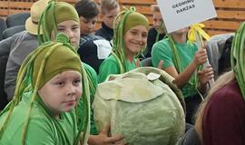 Startavo sveikiausios mokyklos konkursas