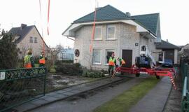 Į Teatro aikštę atkeliauja klaipėdiečių išrinkta eglė