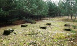 Smiltynės paslaptis pažino žygiuodami