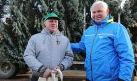 Į Teatro aikštę atkeliauja klaipėdiečių išrinkta eglė