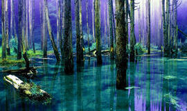 Kam naudingi mitai apie uosto plėtrą?