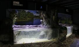 Atsinaujinęs Jūrų muziejus - stebinantis ir svaiginantis