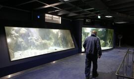 Atsinaujinęs Jūrų muziejus - stebinantis ir svaiginantis