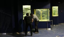 Atsinaujinęs Jūrų muziejus - stebinantis ir svaiginantis