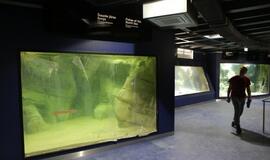 Atsinaujinęs Jūrų muziejus - stebinantis ir svaiginantis