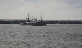 „Ocean Crown“ nutemptas nuo seklumos