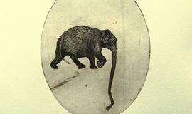 Meno degustacija - jau Klaipėdoje