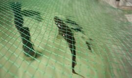 Atsinaujinęs Jūrų muziejus - stebinantis ir svaiginantis