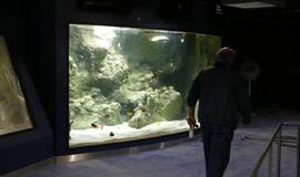 Atsinaujinęs Jūrų muziejus - stebinantis ir svaiginantis