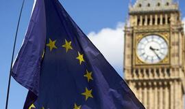 Pusė britų norėtų dar vieno balsavimo dėl „Brexit“