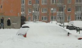 Savininkai rizikuoja baudomis