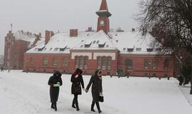 Klaipėdos universitetui į ateitį siūlo žvelgti versliai