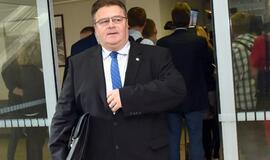 Linas Linkevičius: Išsiskyrusios nuomonės dėl Rusijos bus gera pamoka