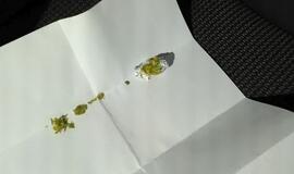 Savaitgalį pradėtas ne vienas tyrimas dėl narkotikų