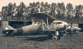 Uostamiesčio mokslininkai ieškos istorinio relikto