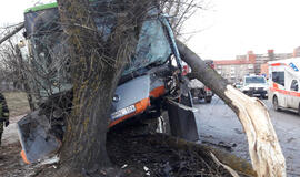 Minijos gatvėje autobusas trenkėsi į medį