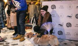 Šviečiančių augintinių paradas