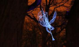 Klaipėda tapo šviesų sostine