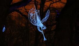 Klaipėda tapo šviesų sostine