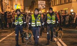 Šviečiančių augintinių paradas