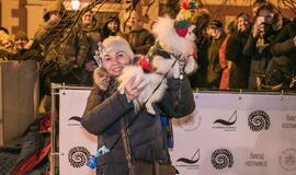 Šviečiančių augintinių paradas