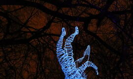 Klaipėda tapo šviesų sostine