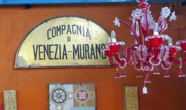 Birutė Jokužienė: "Antrą kartą į Venecijos karnavalą nevažiuočiau"