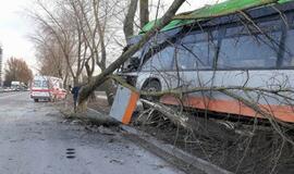 Autobuso avarija