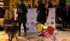 Šviečiančių augintinių paradas