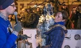 Šviečiančių augintinių paradas