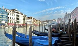 Birutė Jokužienė: "Antrą kartą į Venecijos karnavalą nevažiuočiau"