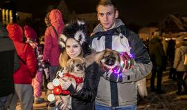 Šviečiančių augintinių paradas