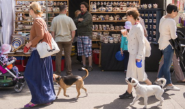 Prekybininką papiktino rinkliava Jūros šventėje