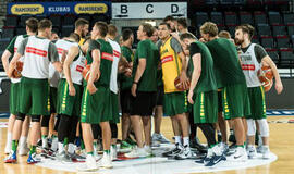 Rinktinės sudėtyje - nauji veidai