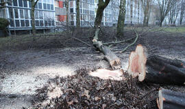 Sunaikintas skveras piktina miestiečius