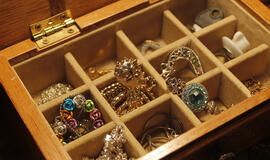 Vienos nakties nuotykis baigėsi vagyste