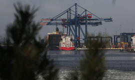 Ar uostas iš tikrųjų liks plikas?