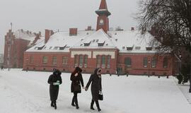 Dėl Klaipėdos universitetų eis iki teismų