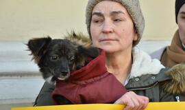 Prie Savivaldybės - gyvūnų mylėtojų protestas