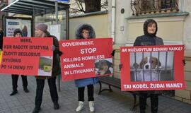 Prie Savivaldybės - gyvūnų mylėtojų protestas