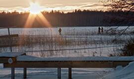 „Drugelio miestas”
