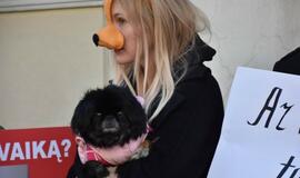 Prie Savivaldybės - gyvūnų mylėtojų protestas