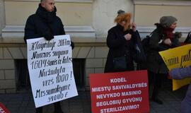 Prie Savivaldybės - gyvūnų mylėtojų protestas