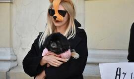 Prie Savivaldybės - gyvūnų mylėtojų protestas