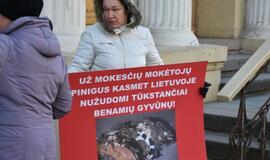 Prie Savivaldybės - gyvūnų mylėtojų protestas