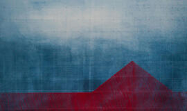 Dygsnio alchemija: Ingos Likšaitės paroda „Namai“