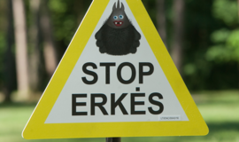 Lietuva - pirma pagal riziką užsikrėsti erkių platinamomis ligomis, išsiskiria dvi apskritys