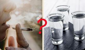 Litras degtinės ar kanapių suktinė?