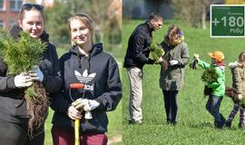 „Mogiliove" prisodino pušaičių